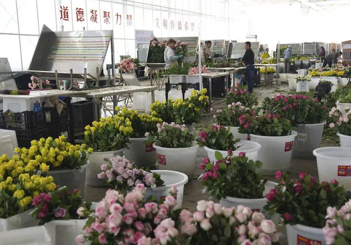 image.png 新澳门六合彩开奖记录